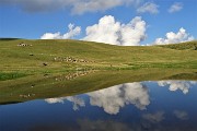 Ritorno sul MONTE VALLETTO con prima salita sul Monte Tribortoi dai Piani dell’Avaro l’8 agosto 2019  - FOTOGALLERY